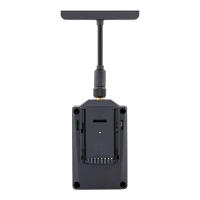 Moduł RadioMaster Ranger Nano 2.4GHZ ELRS RF (wersja Combo)